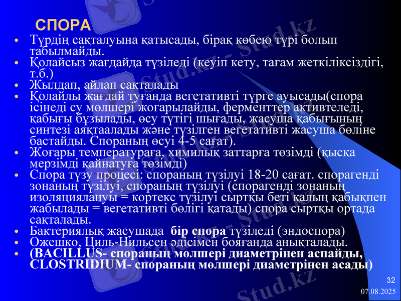 Slide 32
