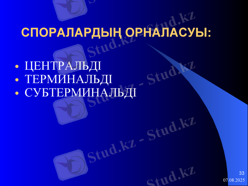 Slide 33