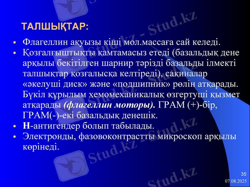 Slide 35