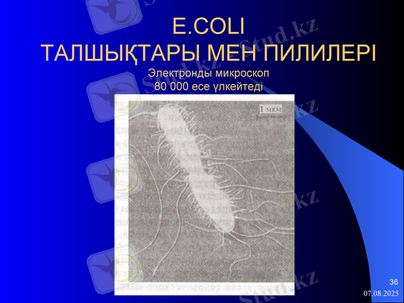 Slide 36