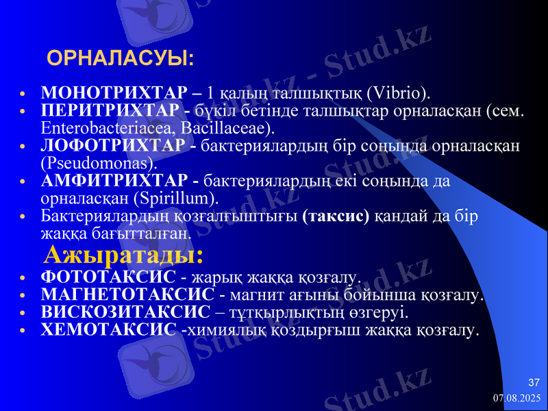 Slide 37