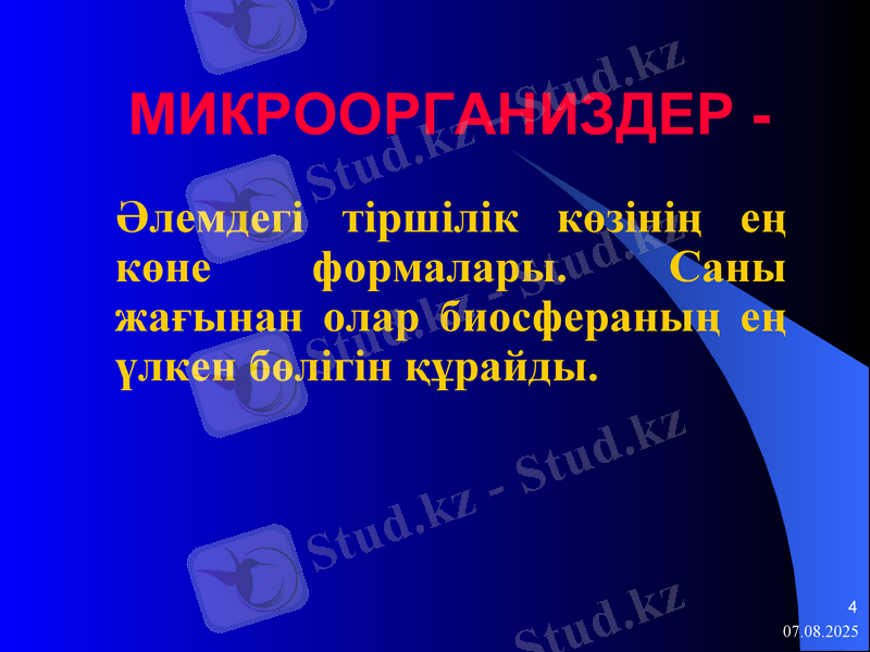 Slide 4