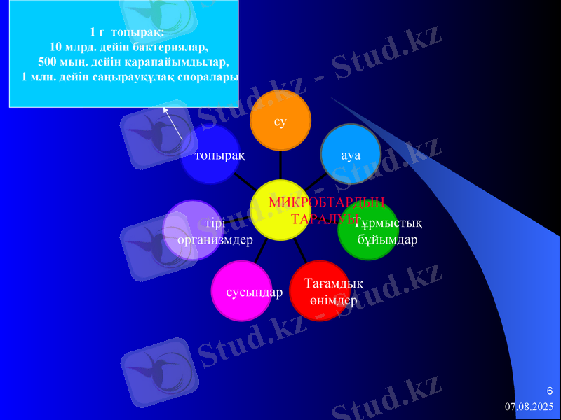 Slide 6