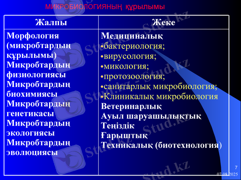 Slide 7
