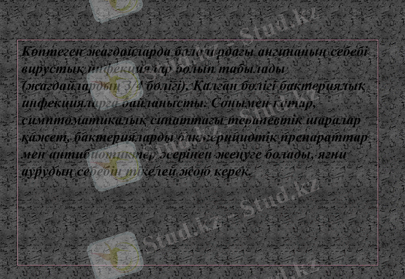 Slide 12