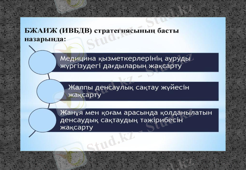 Slide 24