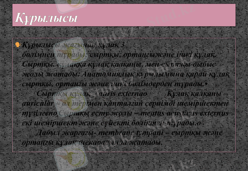 Slide 26