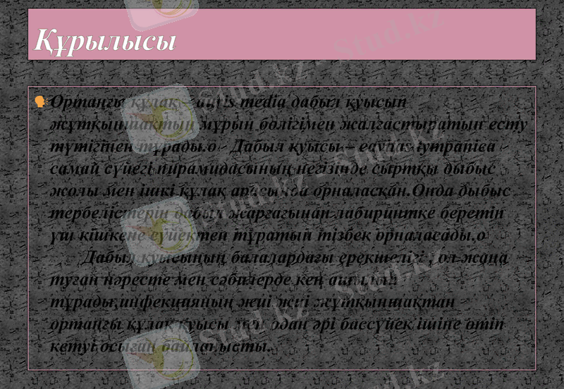 Slide 27
