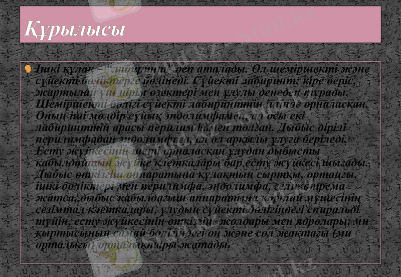 Slide 28