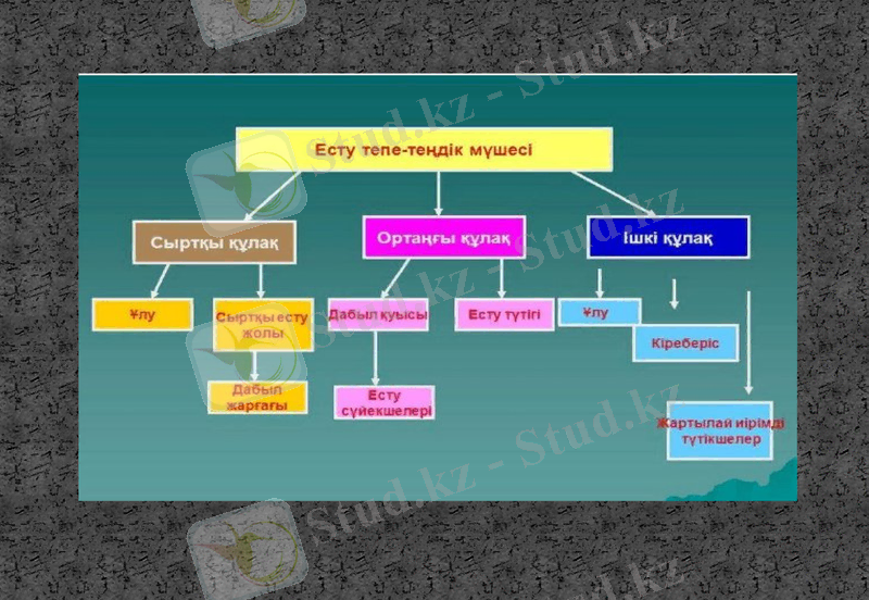 Slide 29