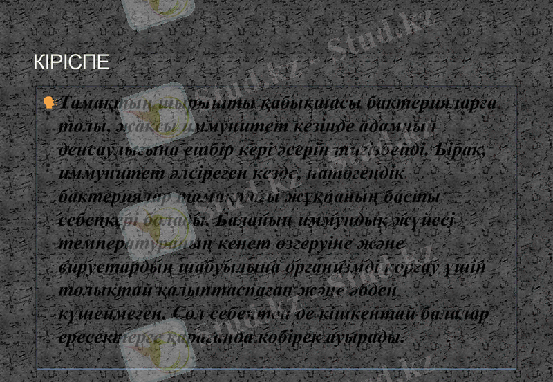 Slide 3