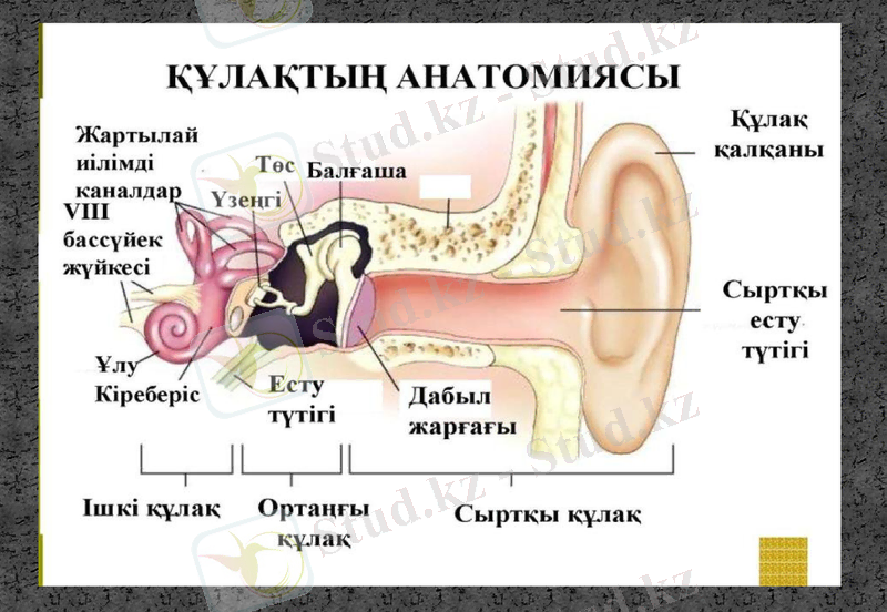 Slide 30