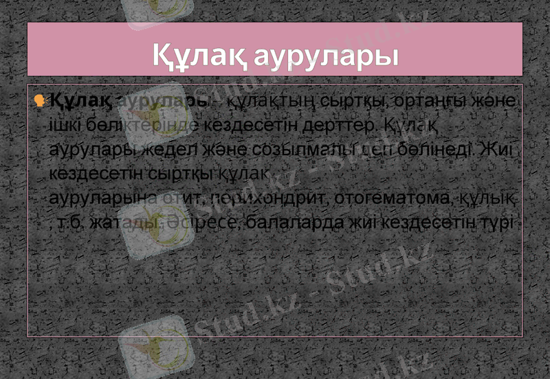 Slide 31