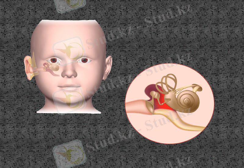 Slide 33