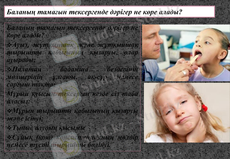 Slide 5