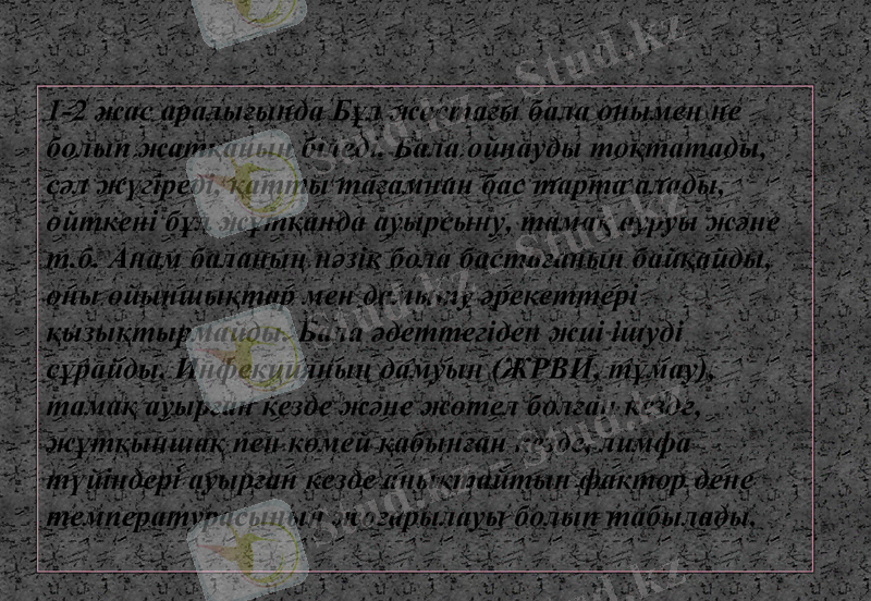 Slide 8