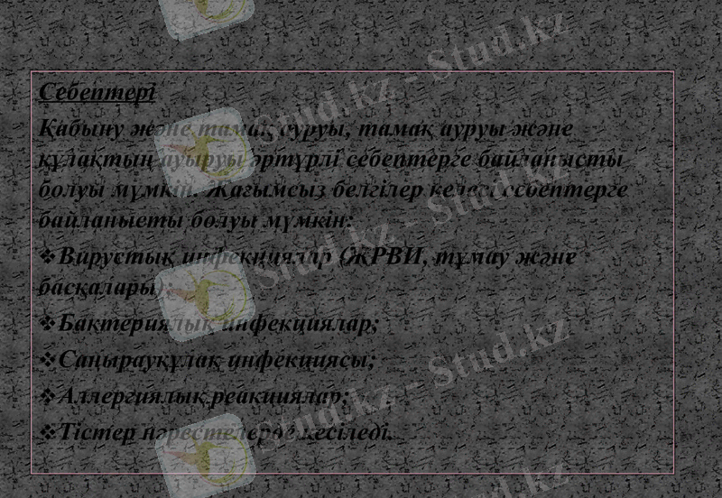 Slide 9