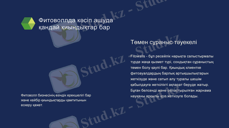 Slide 11