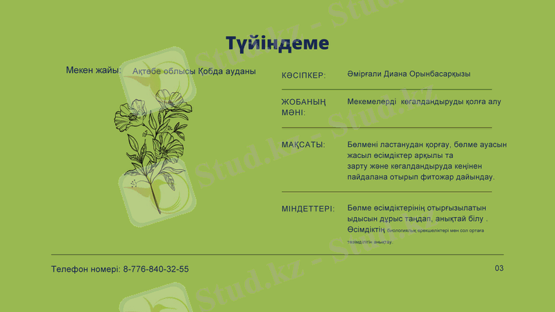 Slide 3