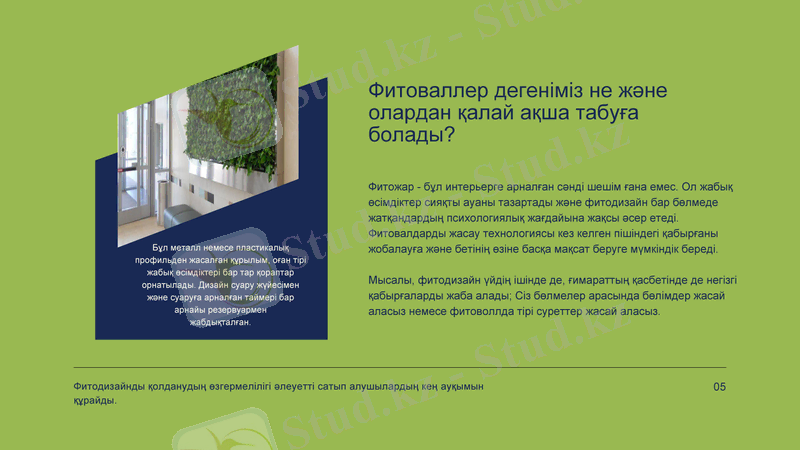 Slide 5