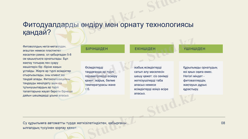 Slide 8