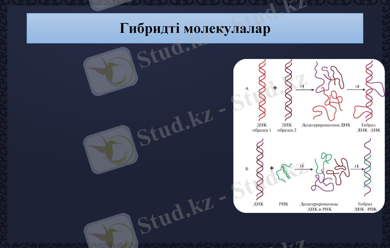Slide 10
