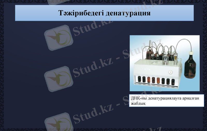 Slide 11