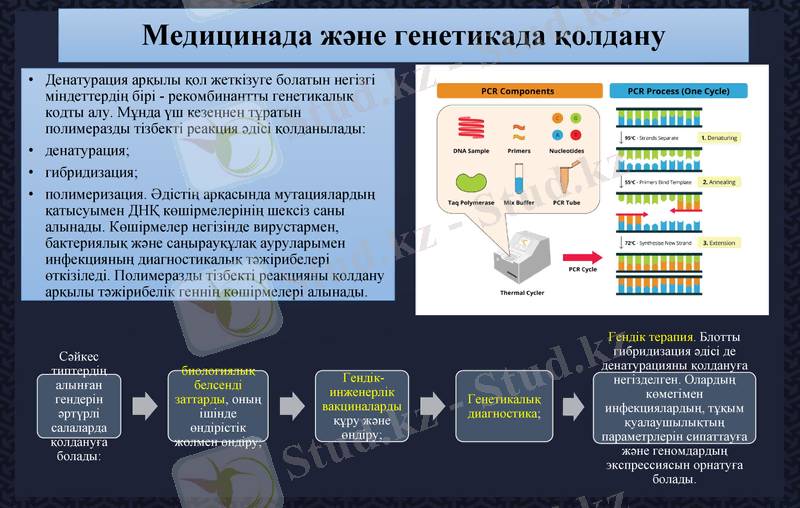 Slide 12