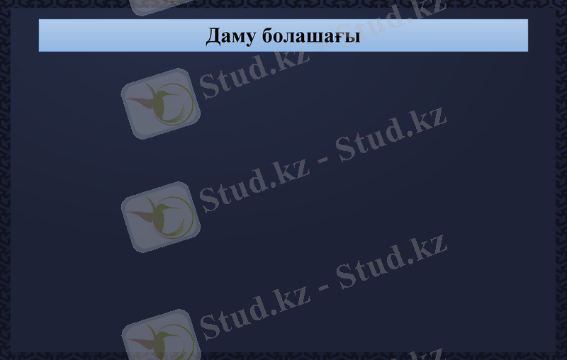 Slide 13
