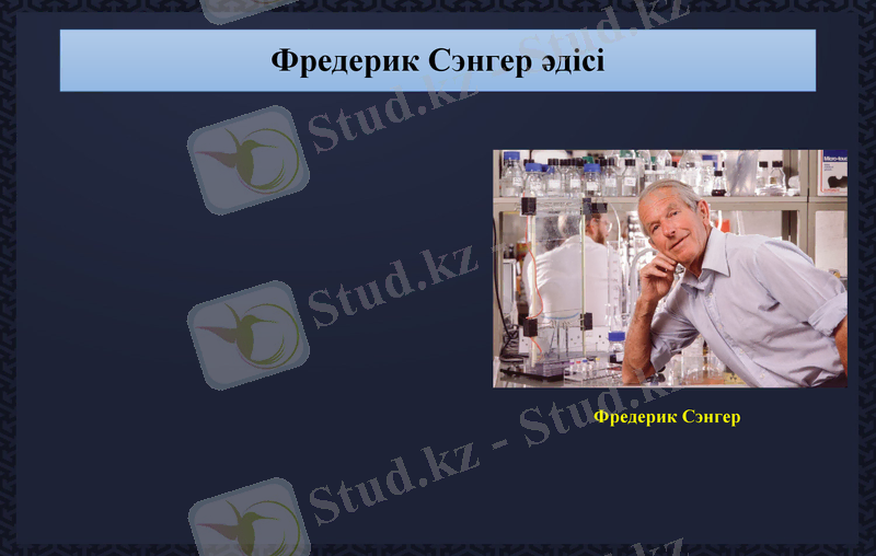 Slide 15