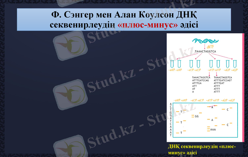 Slide 16