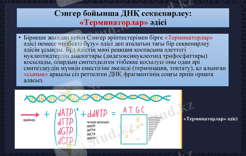 Slide 17