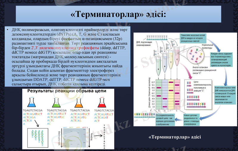 Slide 18