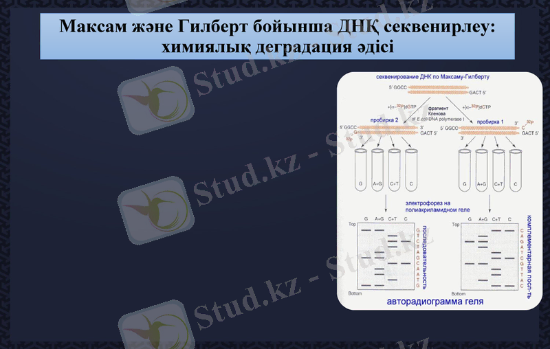 Slide 19