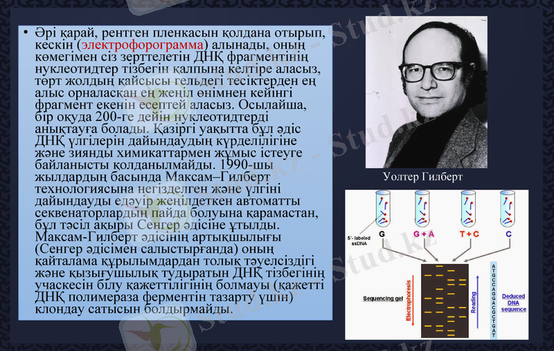 Slide 20