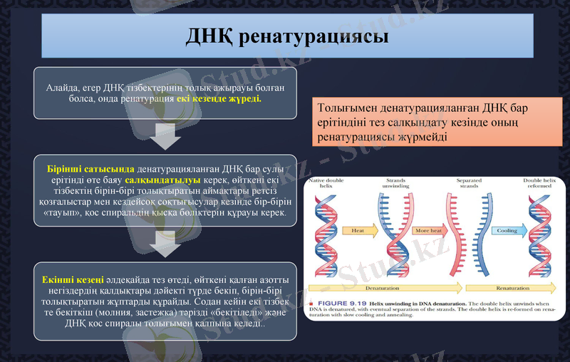 Slide 7