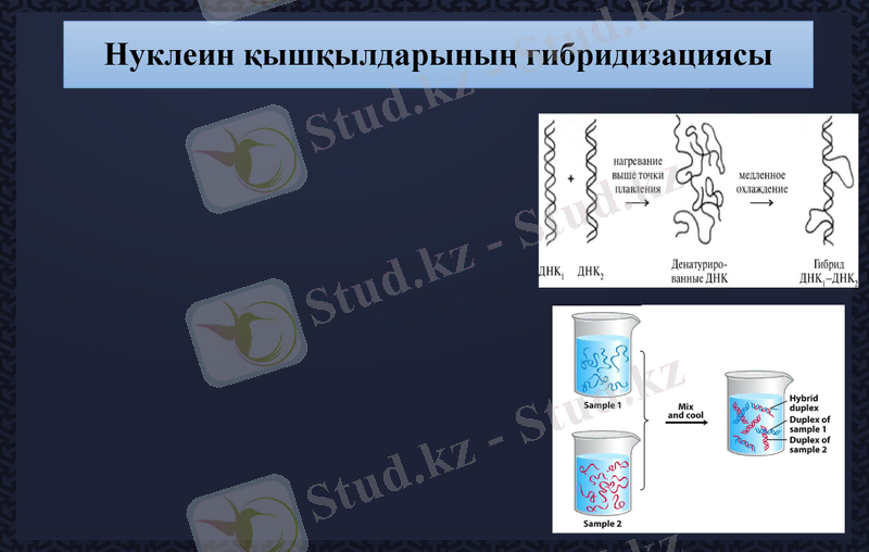 Slide 9
