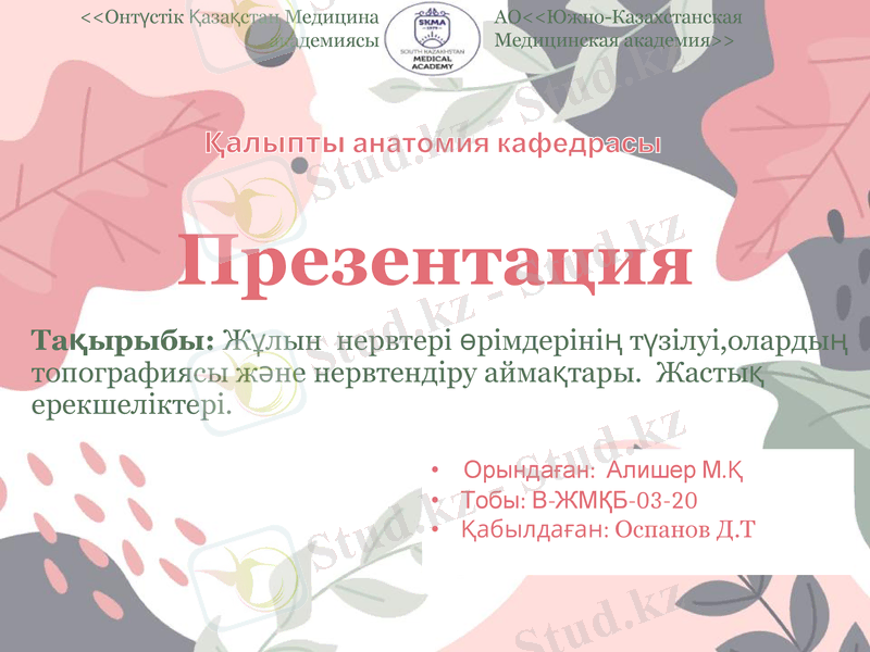Slide 1