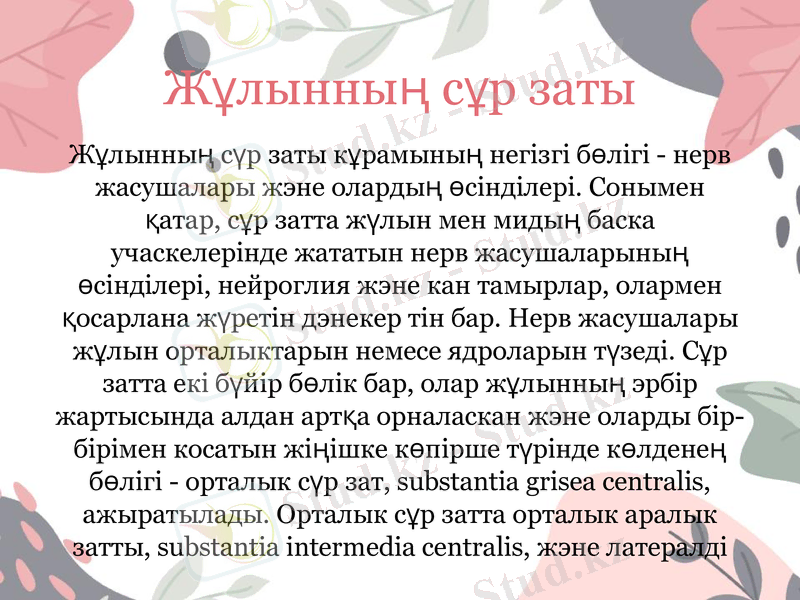 Slide 10