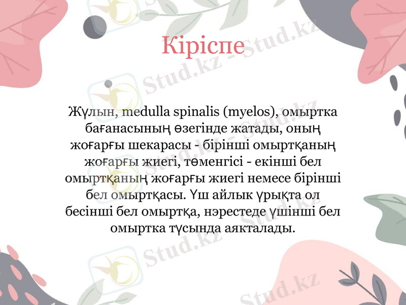 Slide 3