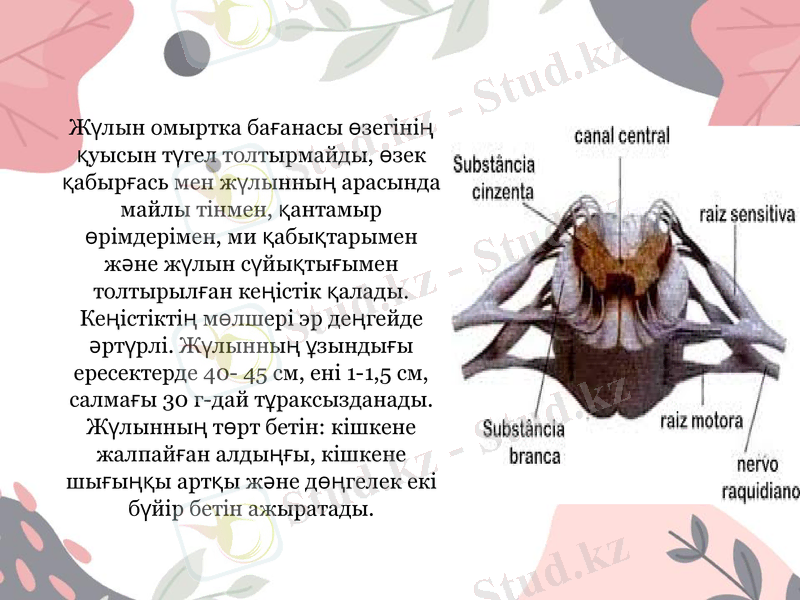 Slide 5