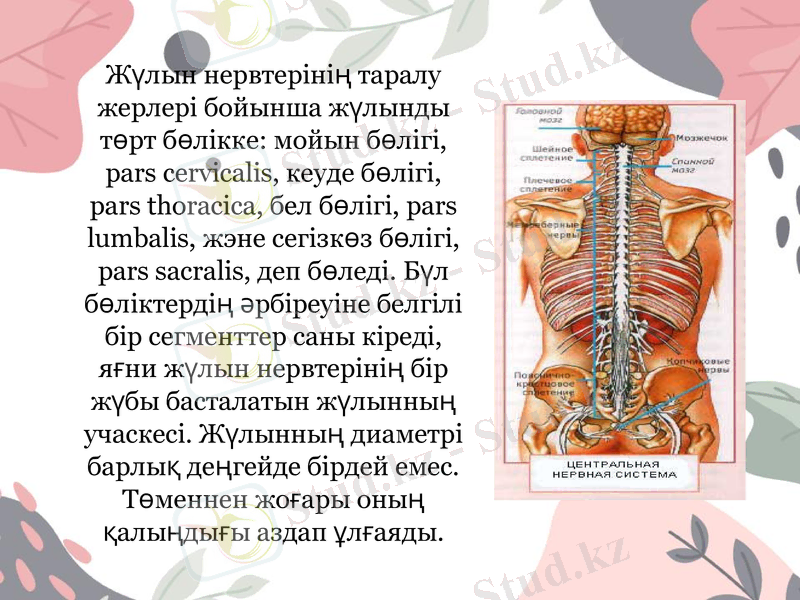 Slide 7