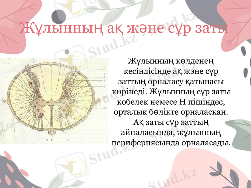 Slide 8