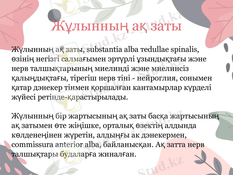 Slide 9