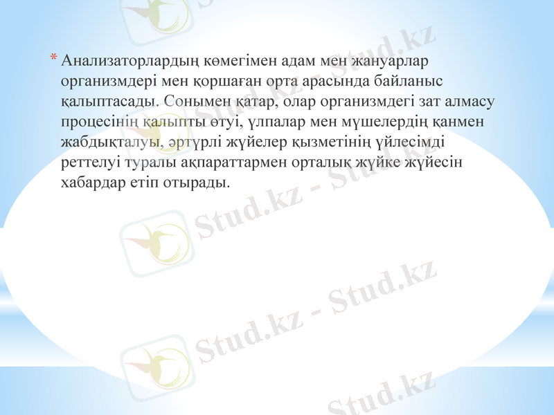 Slide 13