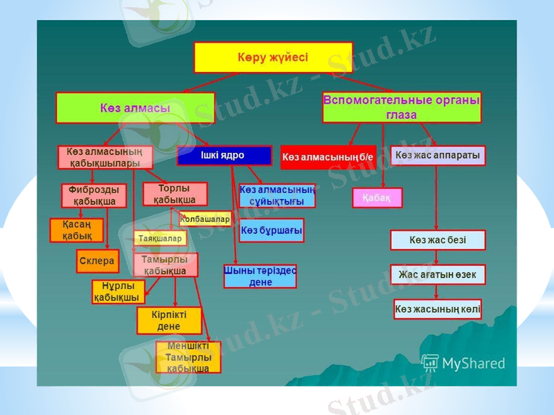 Slide 14