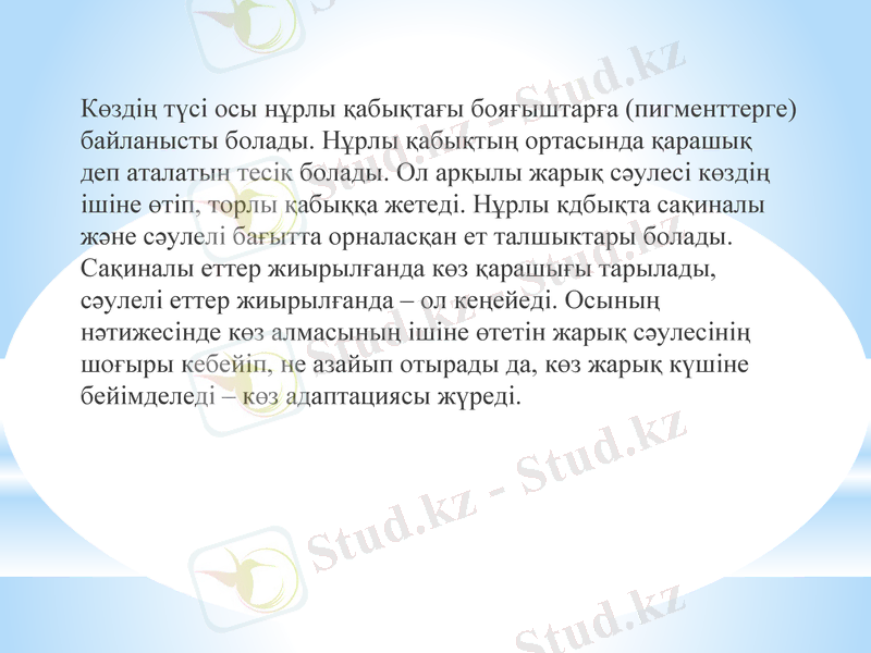 Slide 18
