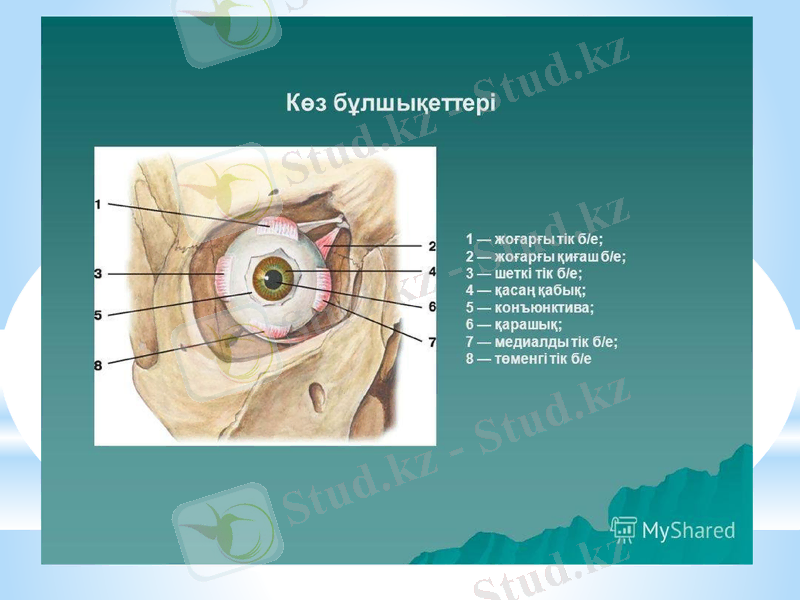 Slide 19