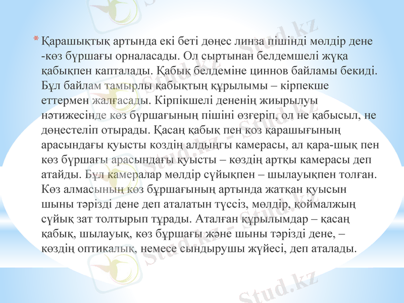Slide 20