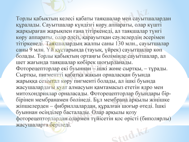 Slide 23